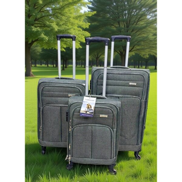 Sameide_TN_Image1_International_Luggage